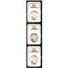 Image 1 : 1899-S $5 Half Eagle MS62 PCGS; 1899-S Eagle MS62 PCGS; and an 1899-S Double Eagle MS62 PCGS.