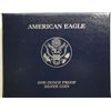 Image 2 : 2010 Proof American Silver Eagle.