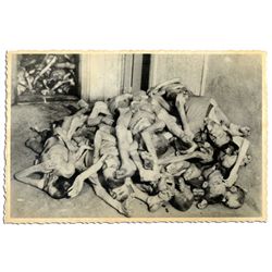 1945 Concentration Camp Photo