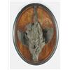 HANGING PLAQUE WITH BRONZE HANGING RUFFLED GROUSE BY PAUL COMOLERA.