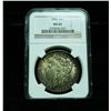 Image 1 : NGC 1889-p Morgan Dollar Graded Select Uncirculated ms63  NGC