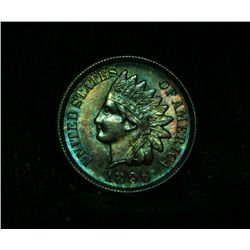 1896-p Indian Cent 1c Gem Uncirculated ms65 BN  Wild Toning