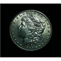 ***RARE  1886-o Morgan Dollar Grades Select Uncirculated ms63   RARE***