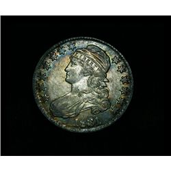 Rainbow Toned 1831 Capped Bust Half Dollar o-107 R-3  Grades Select Uncirculated ms62