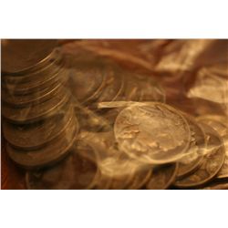 Lot Of 20 Buffalo Nickels w/ Dates