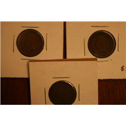 Lot Of 3 Indian Head Pennies