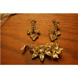 Costume Brooch & Earrings