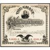 Image 1 : The Grant National Monument Association Specimen Certificate.