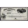 Image 1 : Clark, Gruber & Co. Bankers, Proof Check From Well Known Gold Producer.
