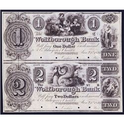 Wolfborough Bank, 1839 Issue Obsolete Uncut Pair Color Specimen in Brown.
