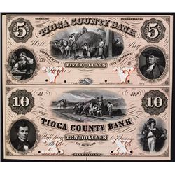 Tioga County Bank, 1857 Uncut Full Color Proof Sheet of 2.