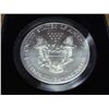 Image 2 : 1999 COLORIZED AMERICAN SILVER EAGLE