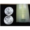 Image 1 : ROLL OF 20-1989 AMERICAN SILVER EAGLES (UNC)