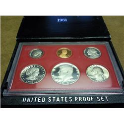 1981 US PROOF SET (WITH BOX)
