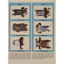6 Bird Waterfowl Prints Richard Sloan Set Ducks
