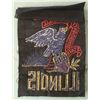 Image 2 : VINTAGE ILLINOIS NATIONAL GUARD PATCH