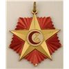 Image 1 : AFGHANISTAN WOUND BADGE AWARD MEDAL STAR 7 STARBURST