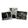 Image 1 : Tarzan