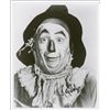 Image 1 : Wizard of Oz: Ray Bolger