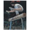 Image 1 : Nadia Comaneci