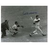 Image 1 : Ted Williams