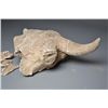 Image 4 : A Scarce Petrified Buffalo Skull