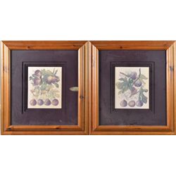 Pr. Of L. David Framed Botanical Lithographs in Colors