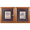 Pr. Of L. David Framed Botanical Lithographs in Colors