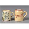 (2) Antique College Souvenier Mugs