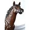 Image 2 : After Barye Life Size Bronze Wild Stallion