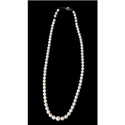 Cultured Pearl Necklace