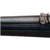 Image 2 : Newton Arms Standard Model Bolt Action Rifle in 256 Newton