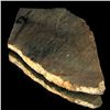 Image 1 : 344ct Dinosaur Bone Cut Slab (MIN-000464)