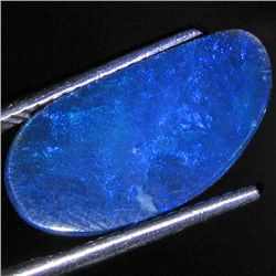 2.43ct Australian Black Opal Doublet Full Fire (GEM-31423)