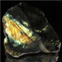 345ct Flashy Peacock Color Labradorite Slab  (GEM-39119)