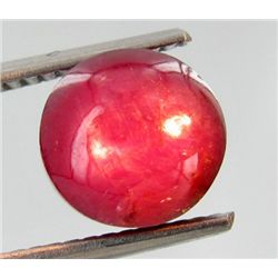 4.42ct Sparkling 6 Sharp Rays Rare Star Ruby  (GEM-23583)