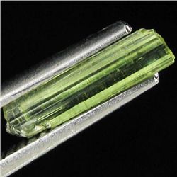 0.65ct Afghan Tourmaline Crystal (GEM-35341)