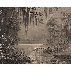 ORIGINAL Antique PRINT scene-EVERGLADES OF FLORIDA-LAN
