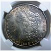 Image 2 : 1888 Morgan $  NGC  65