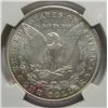 Image 3 : 1904 Morgan $  NGC61