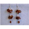 Image 1 : Dangling Amber Earrings