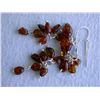 Image 3 : Dangling Amber Earrings