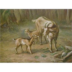 A STUDY OF A GOAT AND TWO KIDS IN A  WOODLAND SETTING