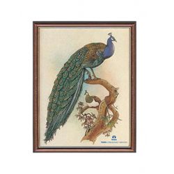 Gemstone Painting Peacock  - Approx. Wgt. 2.5 kgs. Made of Real Gemstone