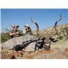 Image 1 : 10-day safari package with Larry Weishuhn in Namibia - includes trophy fees, taxidermy credit, and m