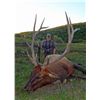 Image 1 : 4-day Rocky Mountain elk hunt for one hunter in Colorado - includes trophy fees