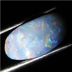 4.35ct Australian Black Opal Doublet Full Fire (GEM-36271)