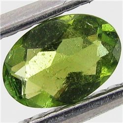 0.44ct Chrome Green Tourmaline Oval (GEM-40729)