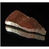 Image 1 : 130ct Dinosaur Bone Cut Slab (MIN-000478)