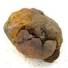 Image 2 : 780ct Natural Tribolite Fossil Uncleaned In Nodule (MIN-000196)